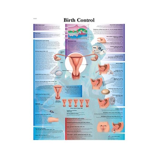 [VR1591L] Laminated Birth Control Chart